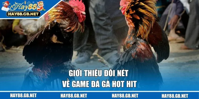 Giới thiệu đôi nét về game đá gà hot hit