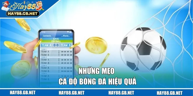 Những mẹo cá độ bóng đá hiệu quả trong năm 2025